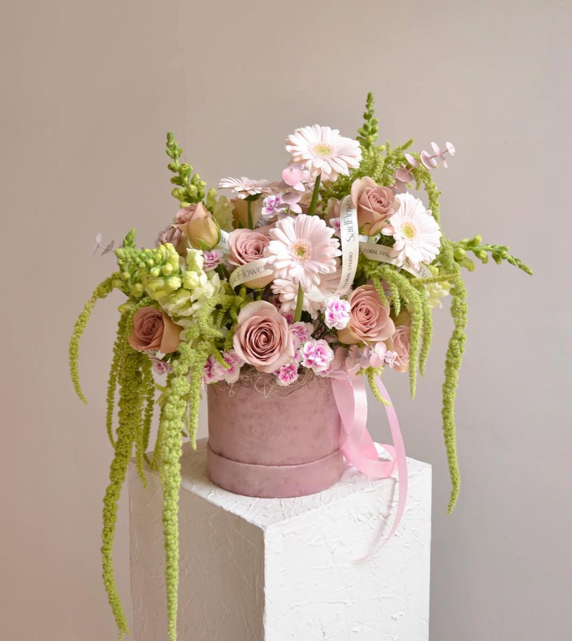 Serenata Rosé
