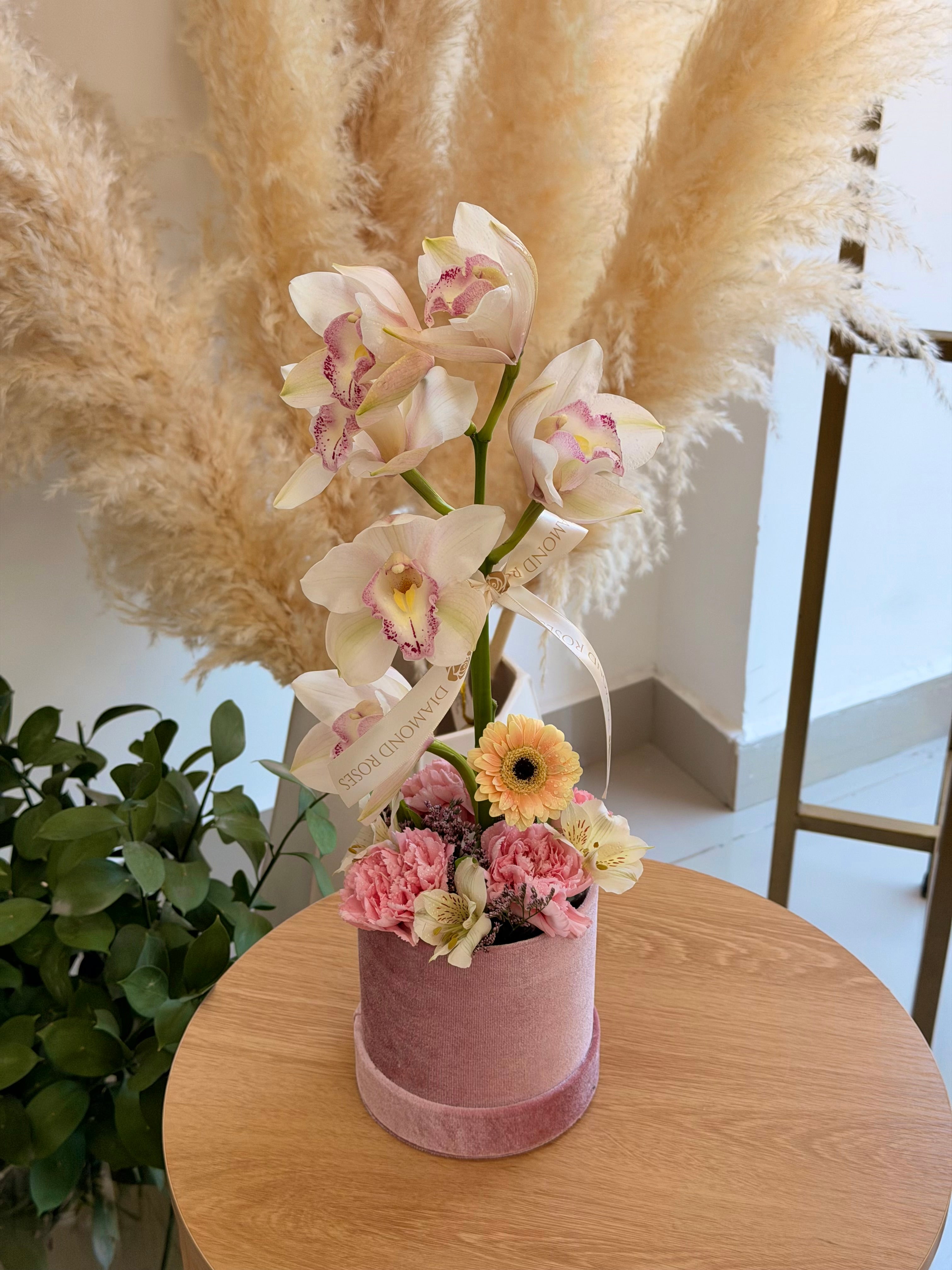Orquídea
